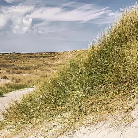 Kwaak * Zandvoort