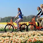 Kwaak Zandvoort